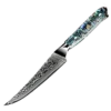 Awabi Steak Knife - Complete Knife With Abalone In Resin Handles And Mosaic Pin - AUS-10 Damascus Steel